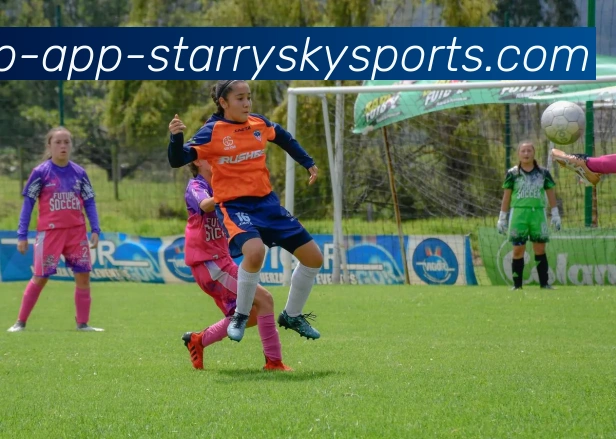 多媒体互动体验